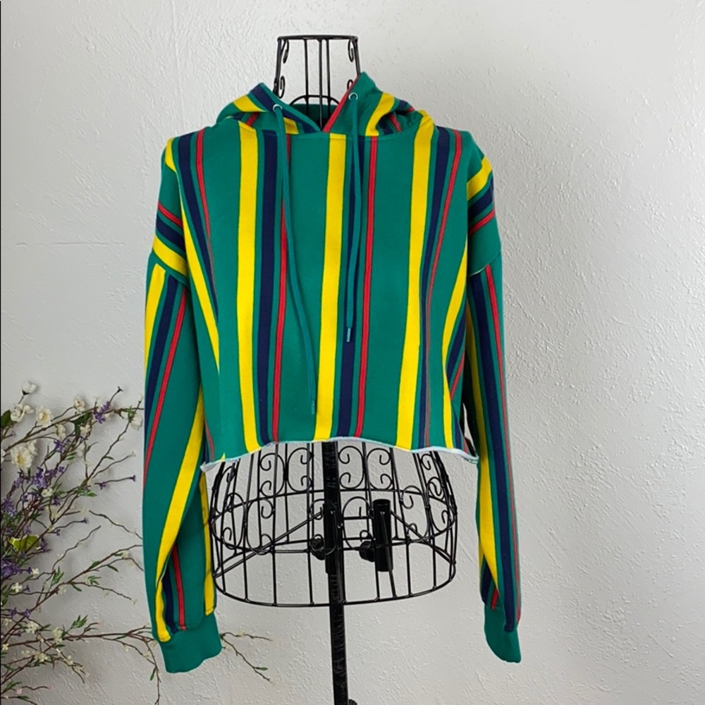 Zumiez Cropped Hoodie